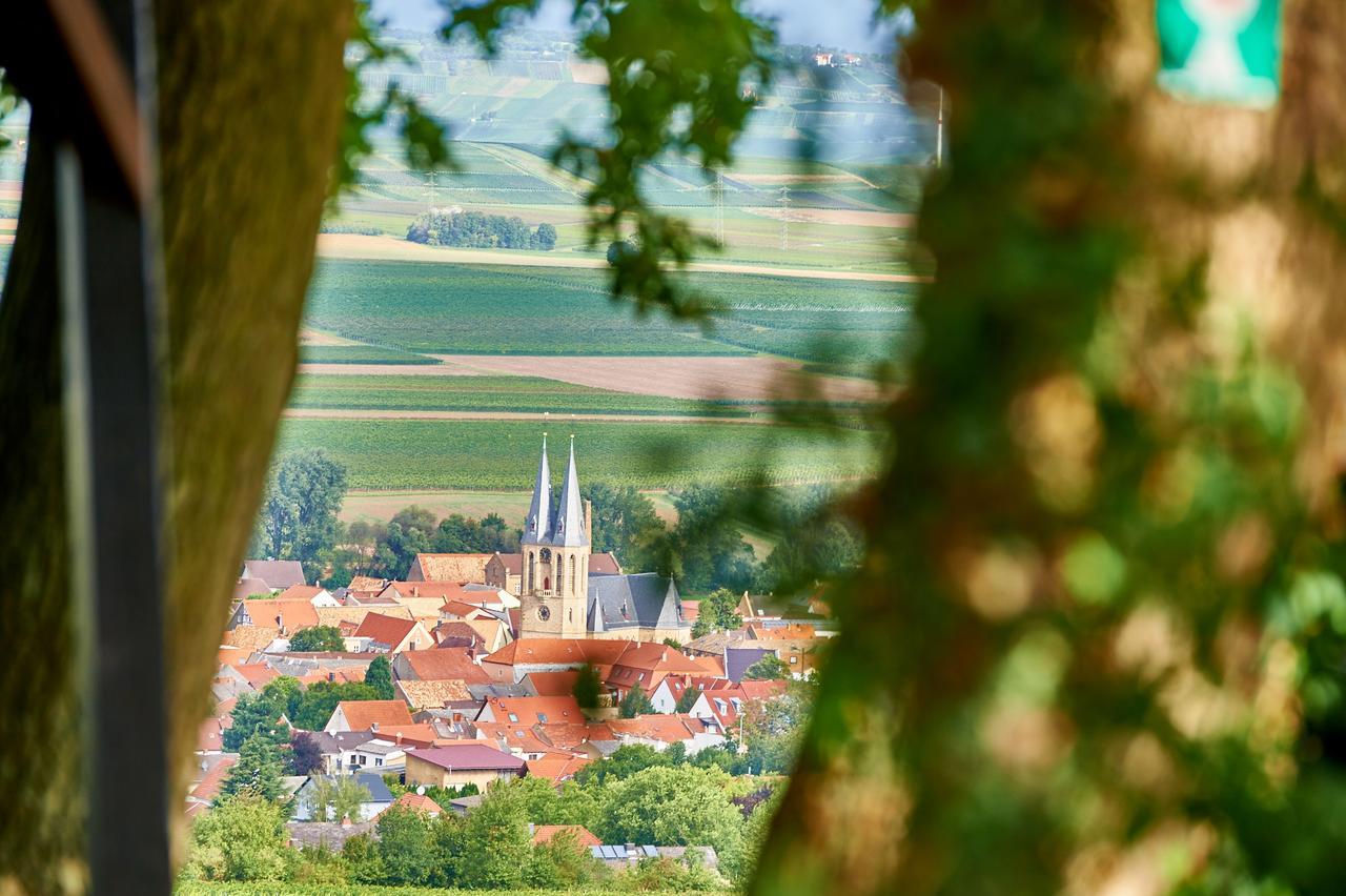 Dohlmuehle Hotel & Weingut פלונהיים מראה חיצוני תמונה