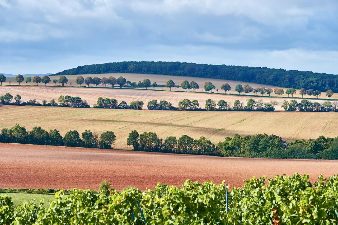 Dohlmuehle Hotel & Weingut פלונהיים מראה חיצוני תמונה